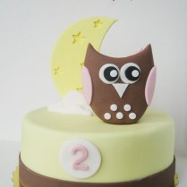 girly-owl-and-moon-cake